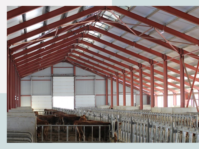 Строительство коровников в Орехове-Зуеве