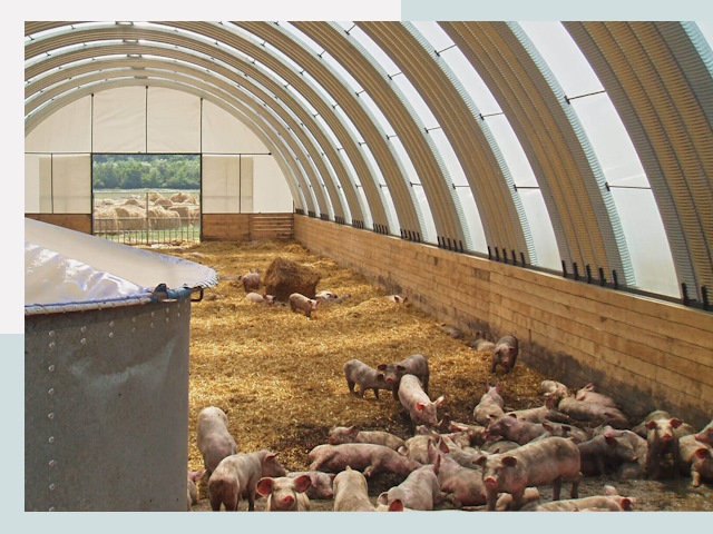 Строительство свинарников в Орехове-Зуеве