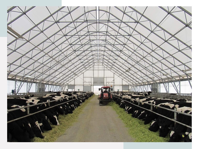 Тентовые коровники в Орехове-Зуеве от 625 руб. - Надежно и доступно