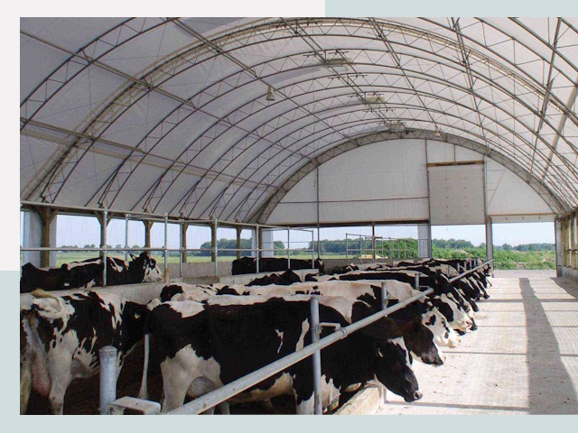 Тентовые коровники в Орехове-Зуеве